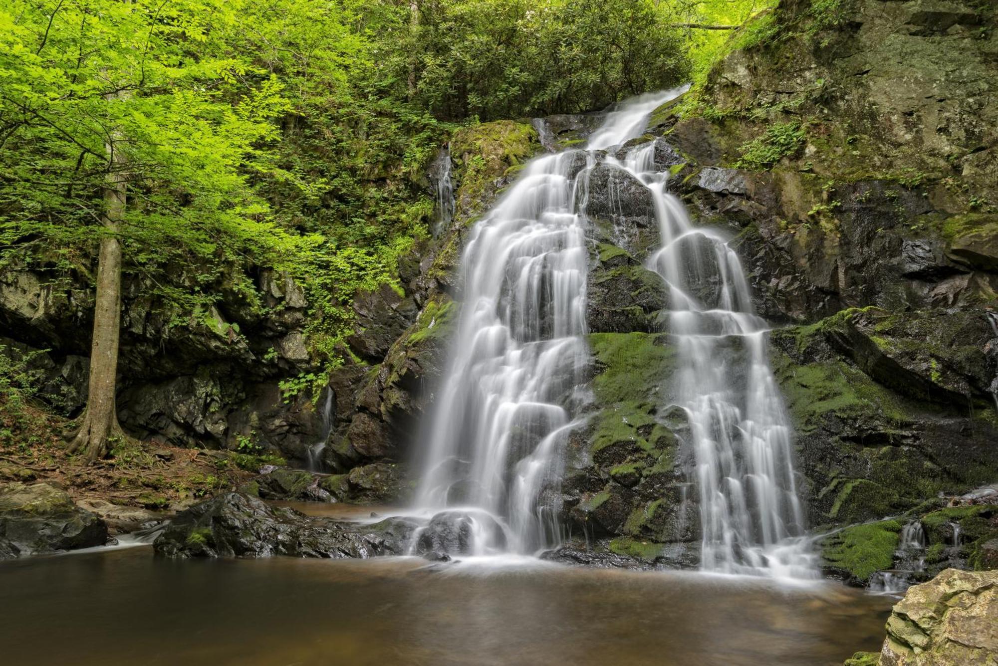 The Cozy Cove, Hot Tub, Wifi, 1089 Free Tickets Each Paid Day, Dollywood And More セバービル エクステリア 写真