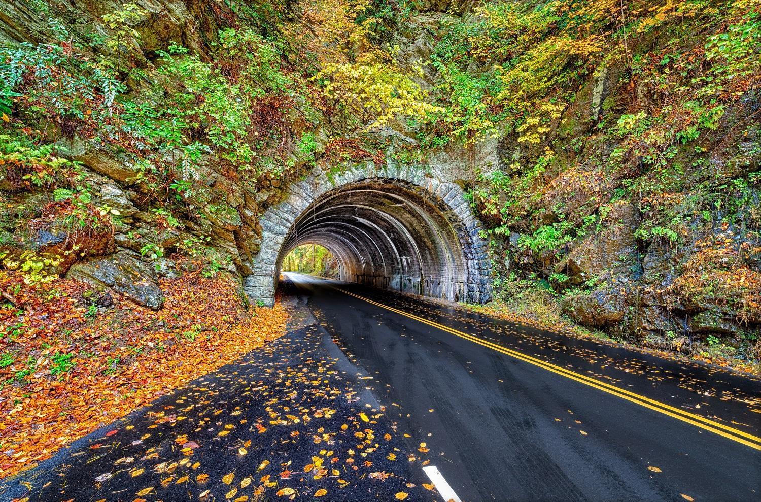 The Cozy Cove, Hot Tub, Wifi, 1089 Free Tickets Each Paid Day, Dollywood And More セバービル エクステリア 写真