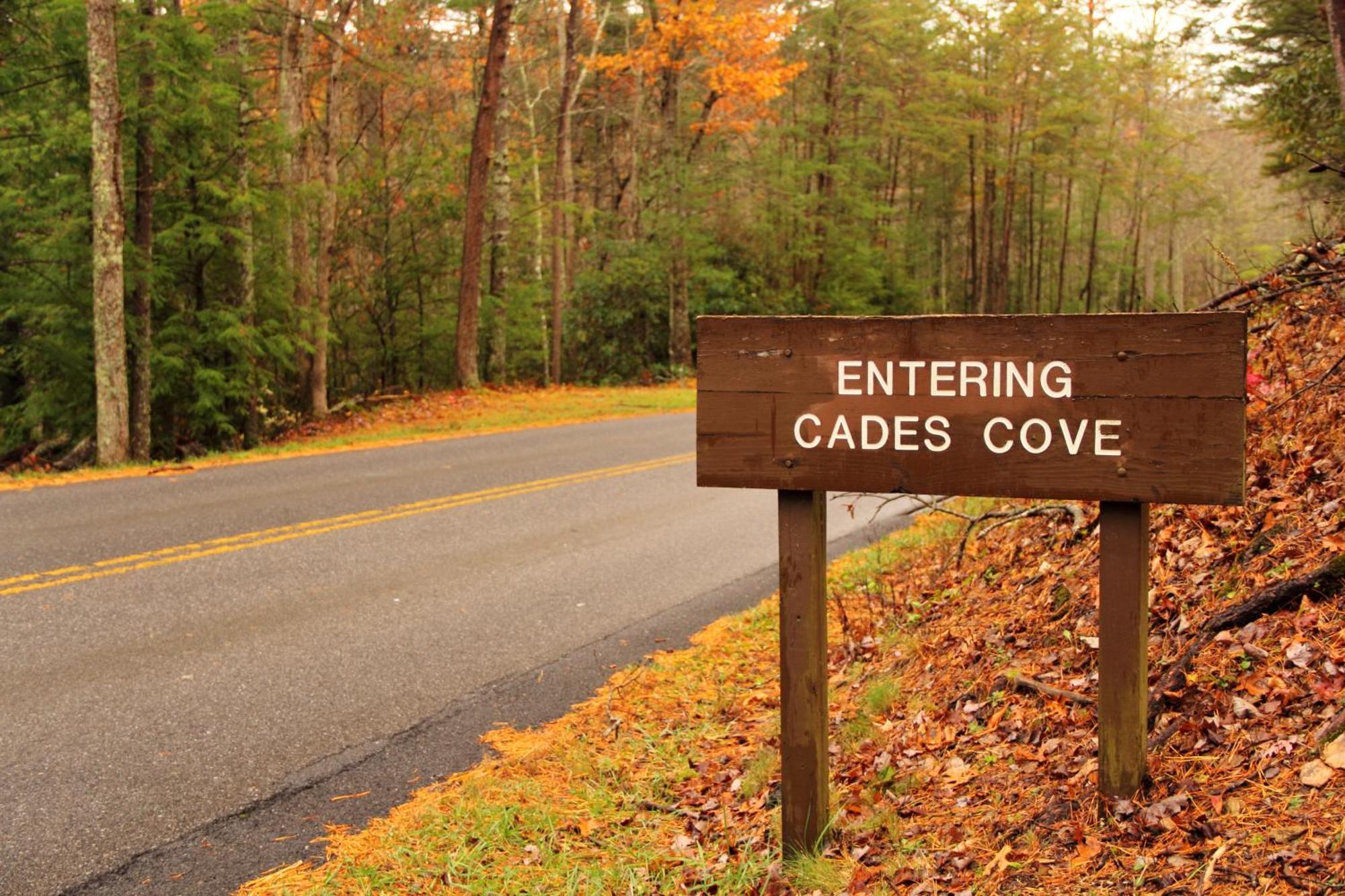 The Cozy Cove, Hot Tub, Wifi, 1089 Free Tickets Each Paid Day, Dollywood And More セバービル エクステリア 写真
